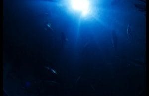 Messive Muzik & Secret Souls – Sacred Access (Original Mix)