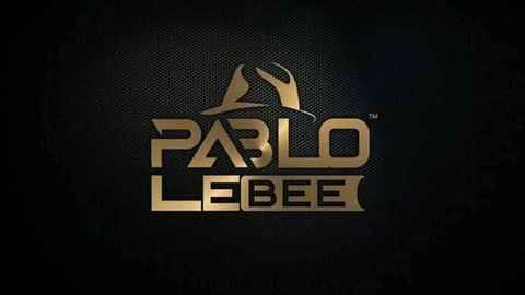 Pablo Le Bee – Skroef 28 In Dub (Christian BassMachine) Mp3 Download