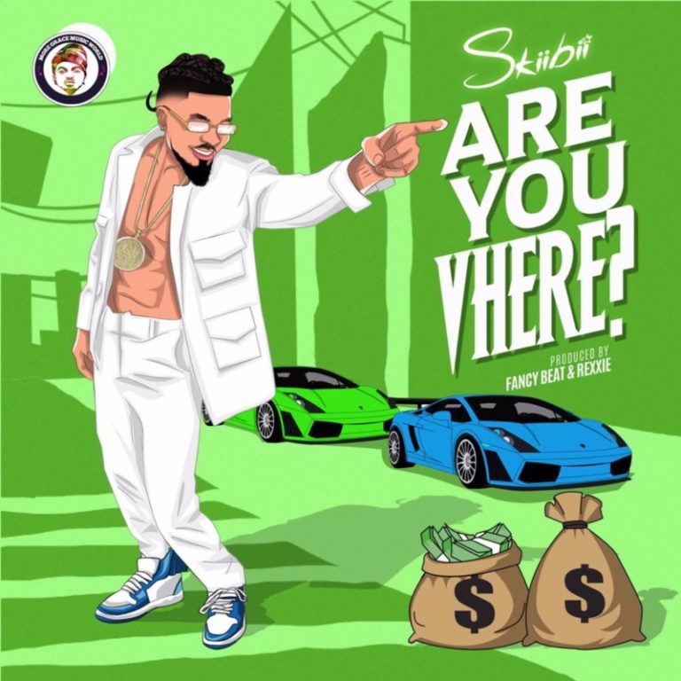 Skiibii – Are You Vhere Mp3 Download
