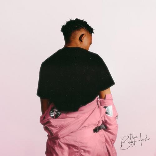 The Big Hash – Peace Of Mind Mp3 Download