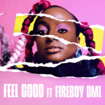 DJ Cuppy Ft Fireboy – Feel Good
