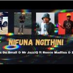 Kabza De Small & Mr Jazziq – Nifuna Ngithini Ft. Reece Madlisa & Zuma