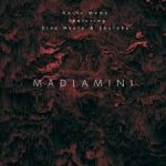 Kelvin Momo – Madlamini Ft. Sino Msolo & Souloho
