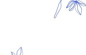 Nutty Nys – Cafe Paris