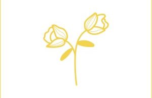 Nutty Nys – Newness