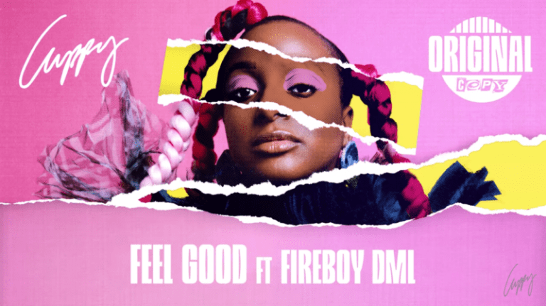 DJ Cuppy Ft Fireboy – Feel Good Mp3 Download