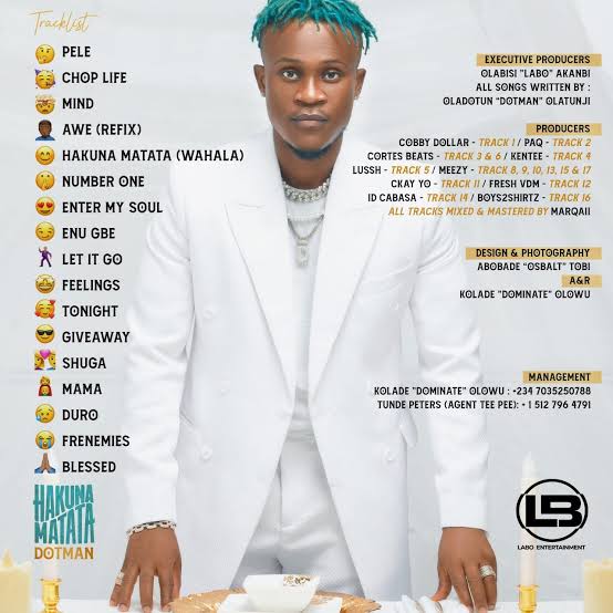 Dotman – Hakuna Matata (Wahala) Mp3 Download