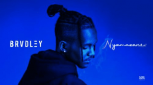 Brvdley – Nyamazane