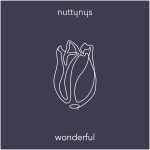 Nutty Nys – Wonderful (Original Mix)