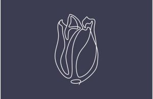 Nutty Nys – Wonderful (Original Mix)