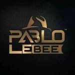 Pablo Le Bee – 30 Mins Mix (February Editiion)