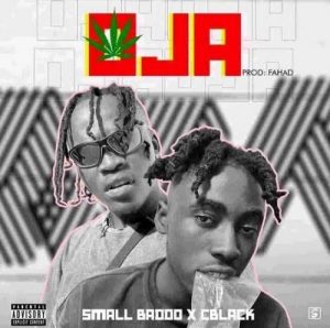 Small Baddo – Oja ft. C Blvck