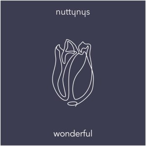 Nutty Nys – Wonderful (Original Mix) Mp3 Download