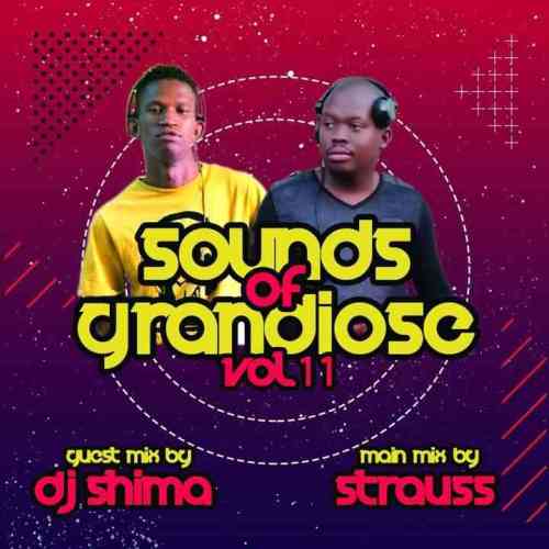 Dj Shima – Sounds of Grandiose vol. 11 (Guest Mix) Mp3 Download