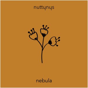 Nutty Nys – Nebula Mp3 Download