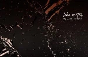 EP: DJ Switch – Like Water Ft. PdotO