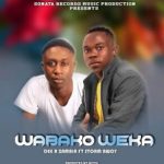 Dee R Zambia Ft. Storm Bwoy – Wabako Weka