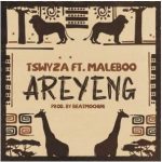Tswyza – Areyeng Ft. Maleboo