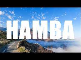 Mfana ka Gogo – Hamba Ft. Mdu aka TRP & Kabza de Small Mp3 Download