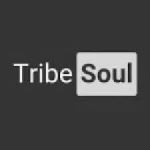 TribeSoul – C Section (Tech Feel) Mp3 Download