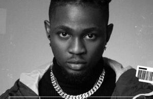 DJ Lector & Omah Lay – Understand (Amapiano Remix)