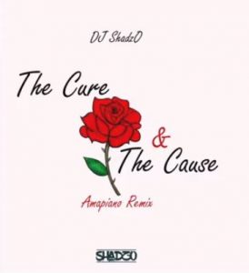 DJ ShadzO – The Cure And The Cause (Amapiano Remix)
