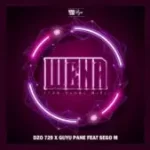 Dzo 729 & Guyu Pane – Wena Ft. Sego M