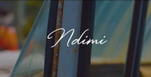 Janet Manyowa – Ndimi Mp3 Download