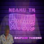 Ndamu TM Music – This Is We Celebrate Amapiano ft. Orinea & Andy De DJ