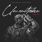 Prince Kaybee – Umenitosha (Robin M Remix) Ft. Polaris
