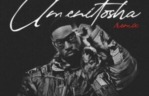 Prince Kaybee – Umenitosha (Robin M Remix) Ft. Polaris