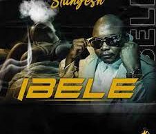 Slungesh, Entity MusiQ & Fiso el Musica – Ibele ft. Zetu Dyasi & Lee Mckrazy