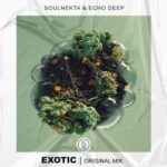 Soulnekta & Echo Deep – Exotic (Original Mix)