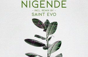 Stoim – Nigende (Saint Evo Remix)