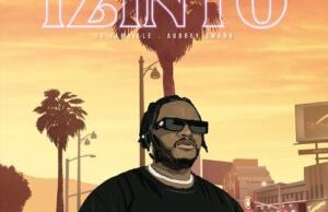 Tha Maniac DJ – Izinto Ft. Aubrey Qwana & Jamville