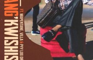 Tswyza – Wang’kwishisha Ft. Villa, Mapentane & Pyy Logdrum King