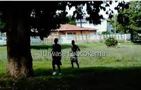 Ithwasa Legcokama – Ushuthe Mapunapuna Mp3 Download