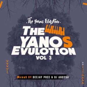 Deejay Pree & Dj Andy 96 – The Yanos Evolution Vol 3 Mix Mp3 Download