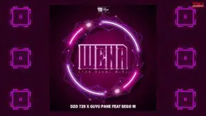 Dzo 729 & Guyu Pane – Wena Ft. Sego M Mp3 Download
