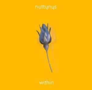 Nutty Nys – Within Mp3 Download