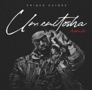 Prince Kaybee – Umenitosha (Robin M Remix) Ft. Polaris Mp3 Download