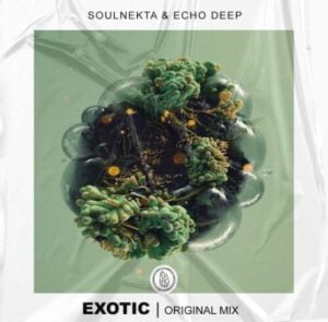Soulnekta & Echo Deep – Exotic (Original Mix) Mp3 Download