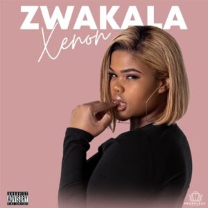 Xenon – Nay’ngozi Ft. Mluusician Mp3 Download