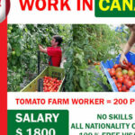 Young Stunna, Dj Maphorisa & Kabza De Small – Groove