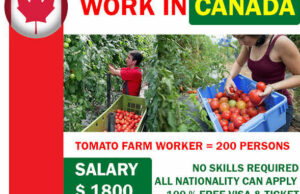 Mdu Aka Trp X Nkulee 501 – Last Pipe