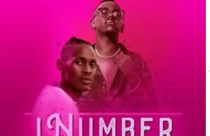 Dr MaVibes – iNumber ft. Manny Yack