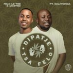 Felo Le Tee & Myztro Ft. Daliwonga – Dipatje Tsa Felo