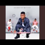 Inkosi Yamagcokama – One Night Stand