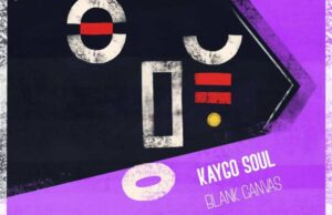 Kaygo Soul – Naartjie Flavour
