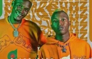 Megadrumz – Usalelani (feat. Dr Shandu)